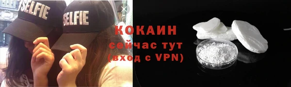 шишки Алексин