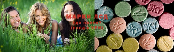 соль ск Зеленодольск