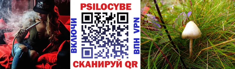 сколько стоит  Венёв  Галлюциногенные грибы Cubensis 